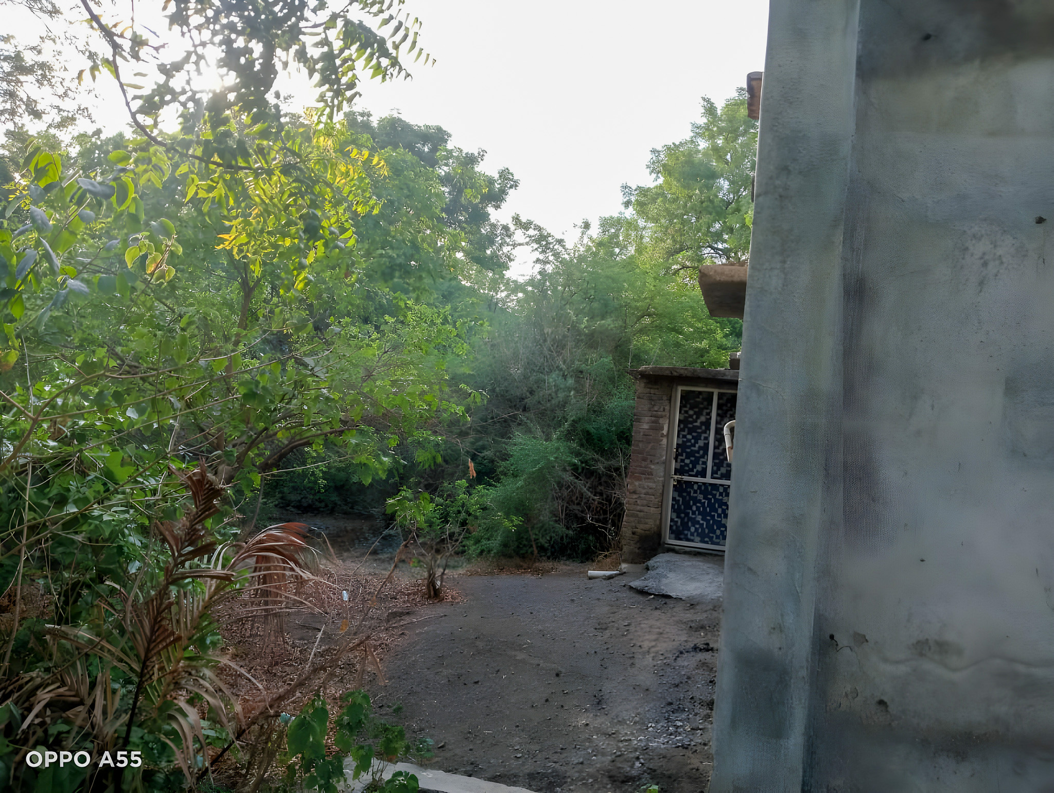 297 square meter Industrial Plot with Factory Building for sale in Akot — photo 17