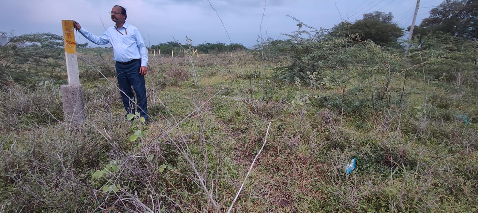 1425 square yard Plot for sale in NIDUMUKKALA Amaravati — photo 5