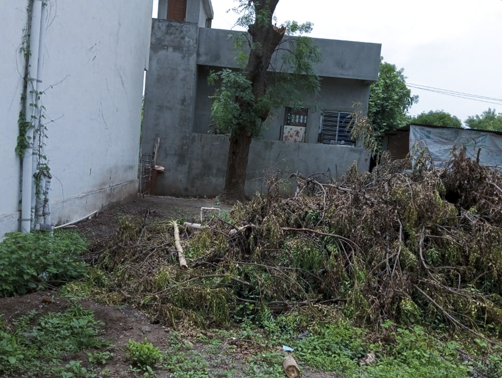 4856.71 square feet Office for sale in VILLAGE Jalgaon — photo 10