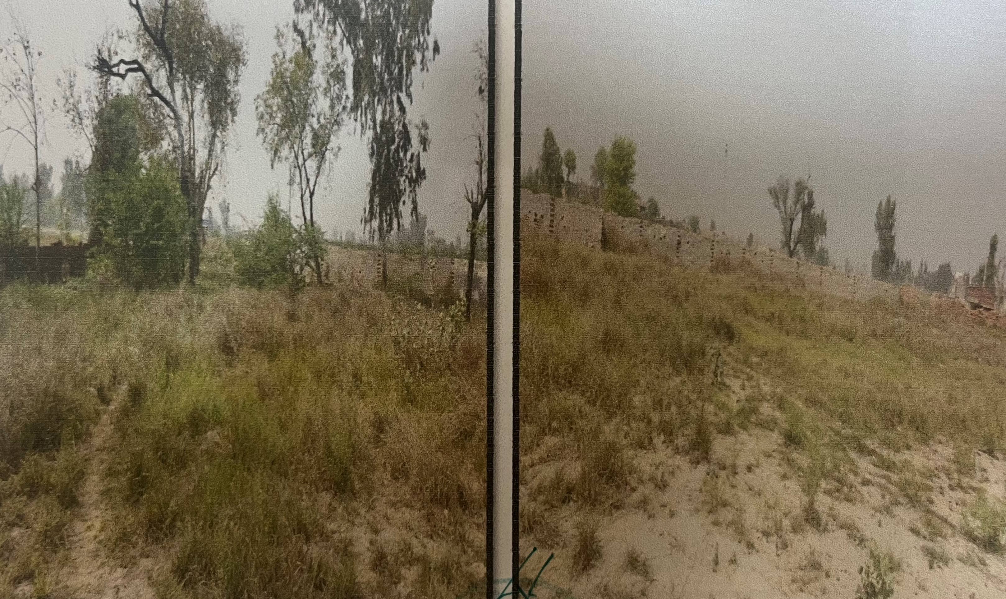155 square yard Plot for sale in Guruharsahai, Distt Ferozpur Ferozepur