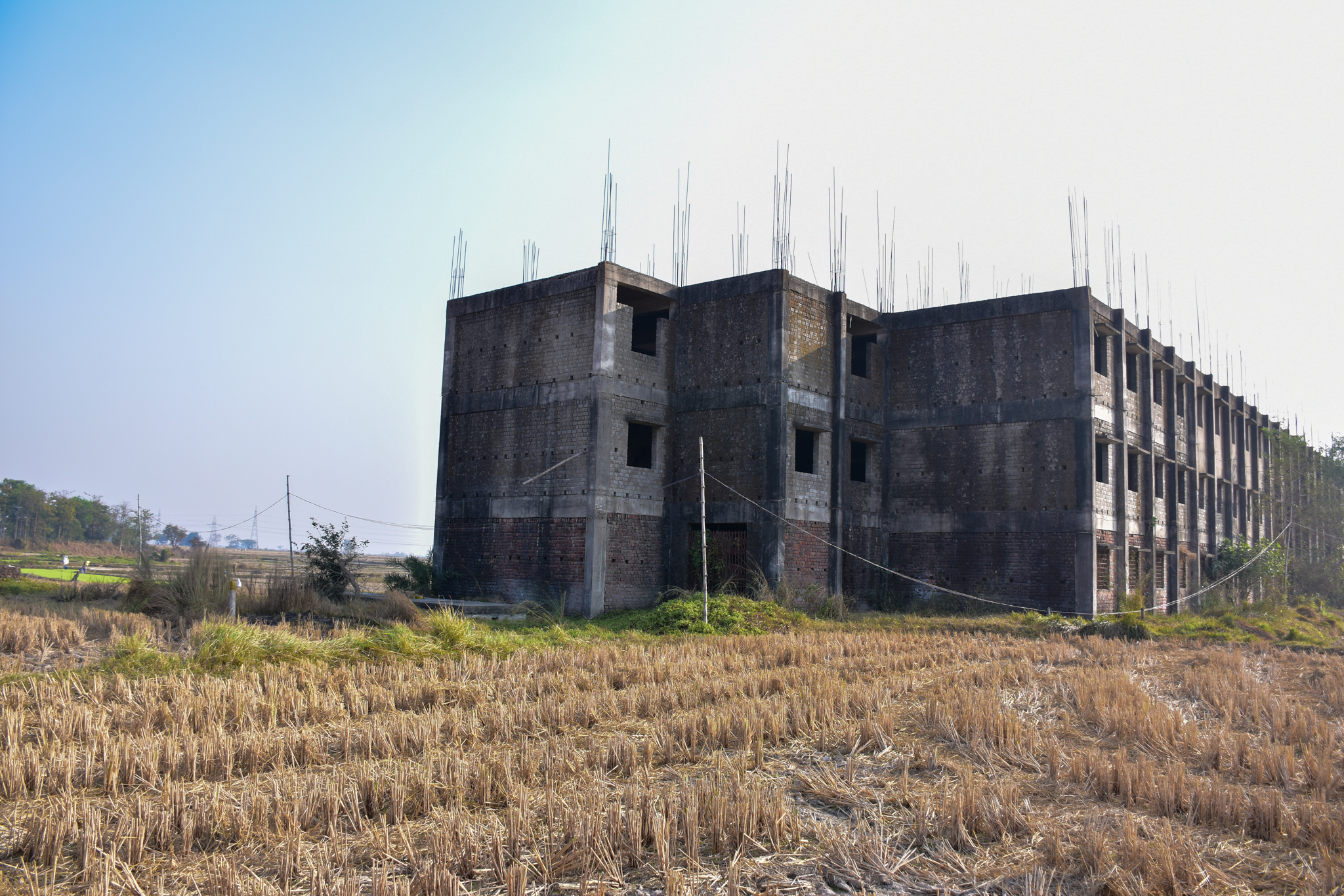 Office for sale in Gangi — photo 6