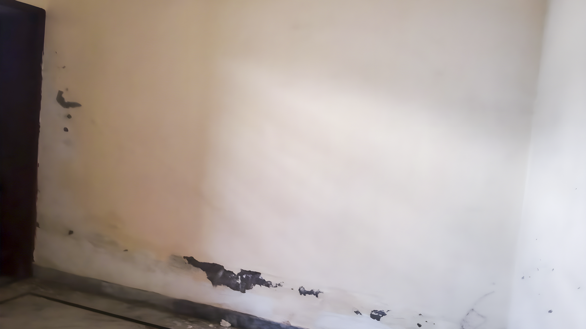2 BHK Individual House for sale in NA, village Bitna, H.B.No.153, Tehsil Kalka Distt. Panchkula Pinjore — photo 23