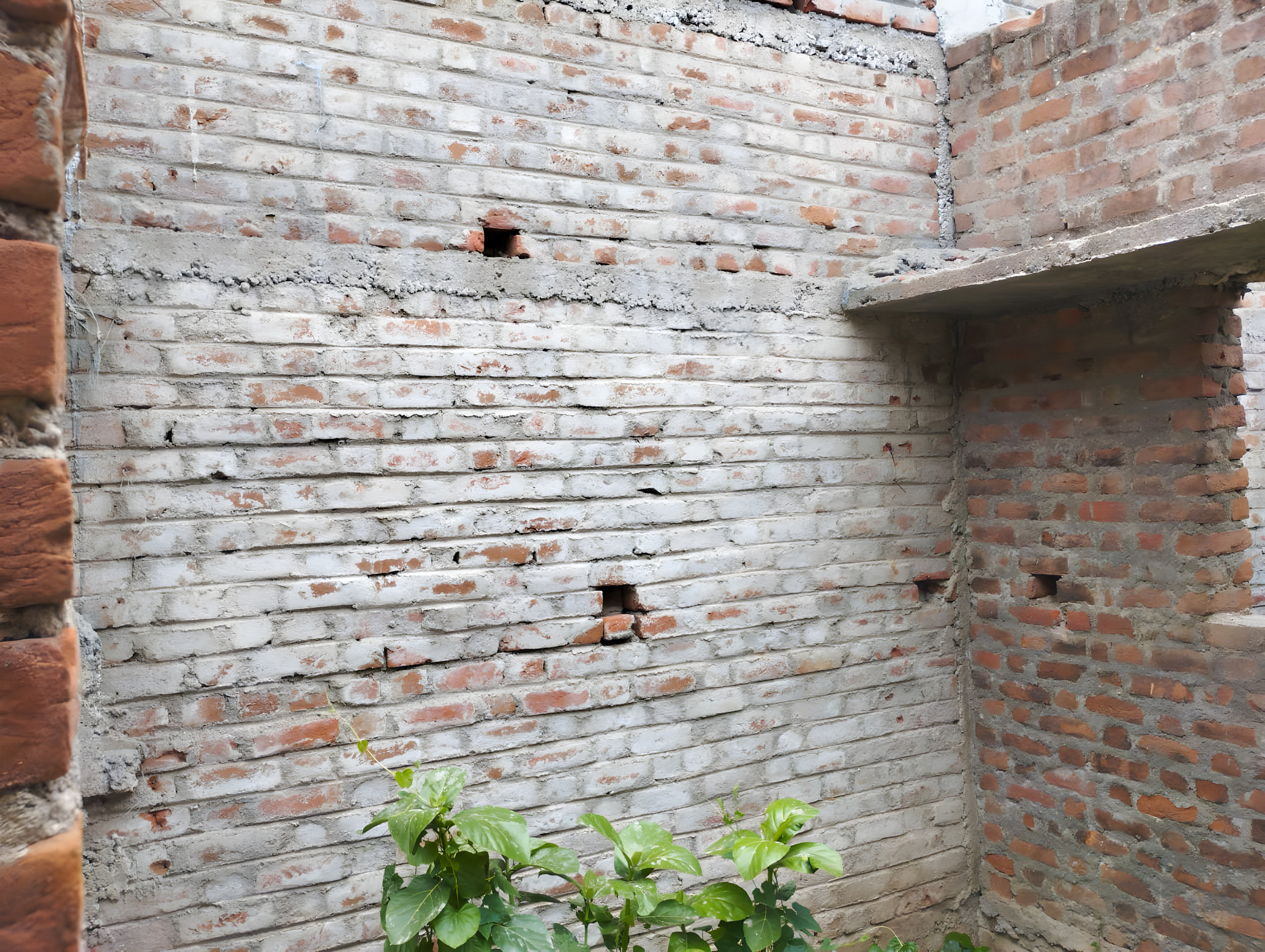 50.43 square meter Individual House for sale in Dakor — photo 4
