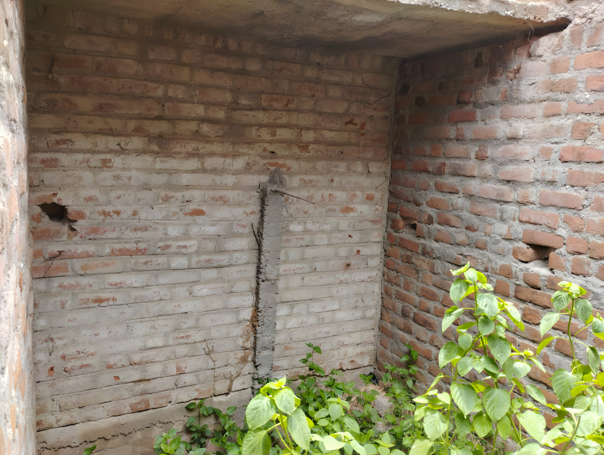 50.43 square meter Individual House for sale in Dakor — photo 1