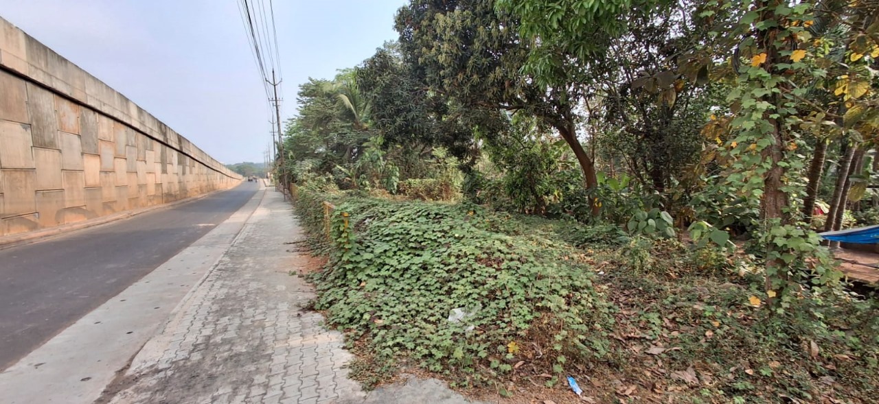 Plot for sale in Cheleri — photo 1