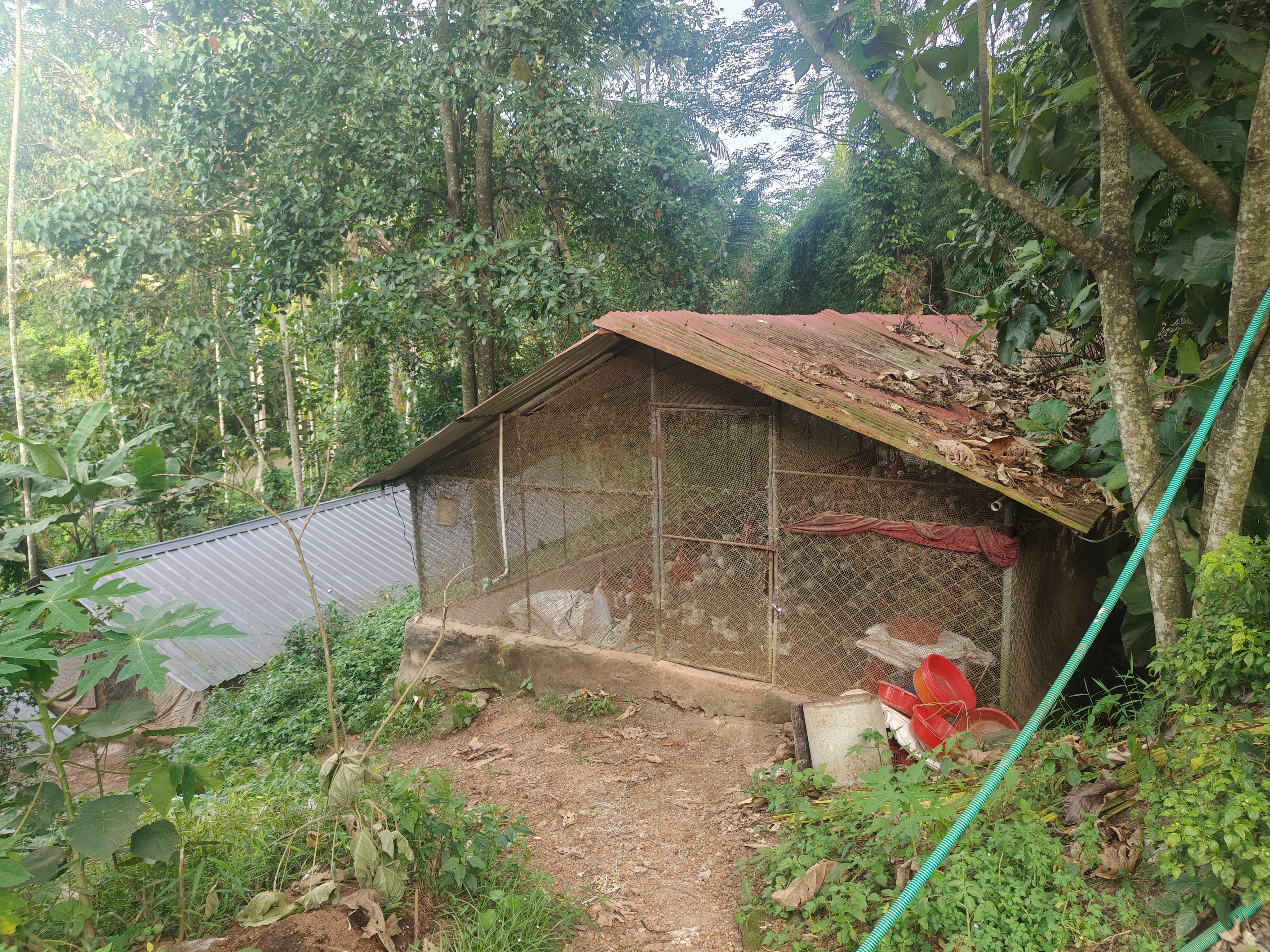 1750 square feet Individual House for sale in Karakulam — photo 2