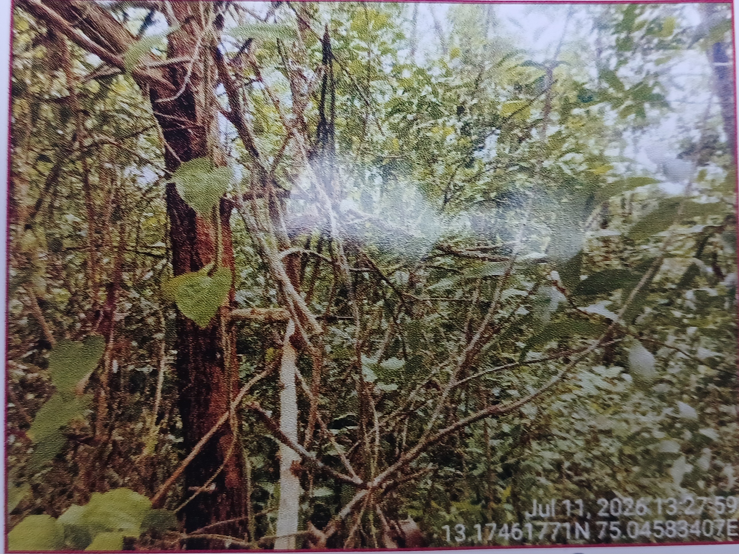 Plot for sale in Rural BAJEGOLI — photo 2