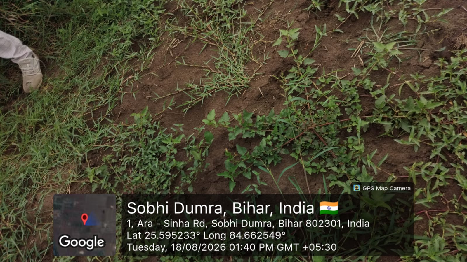 1429 square feet Plot for sale in Arrah