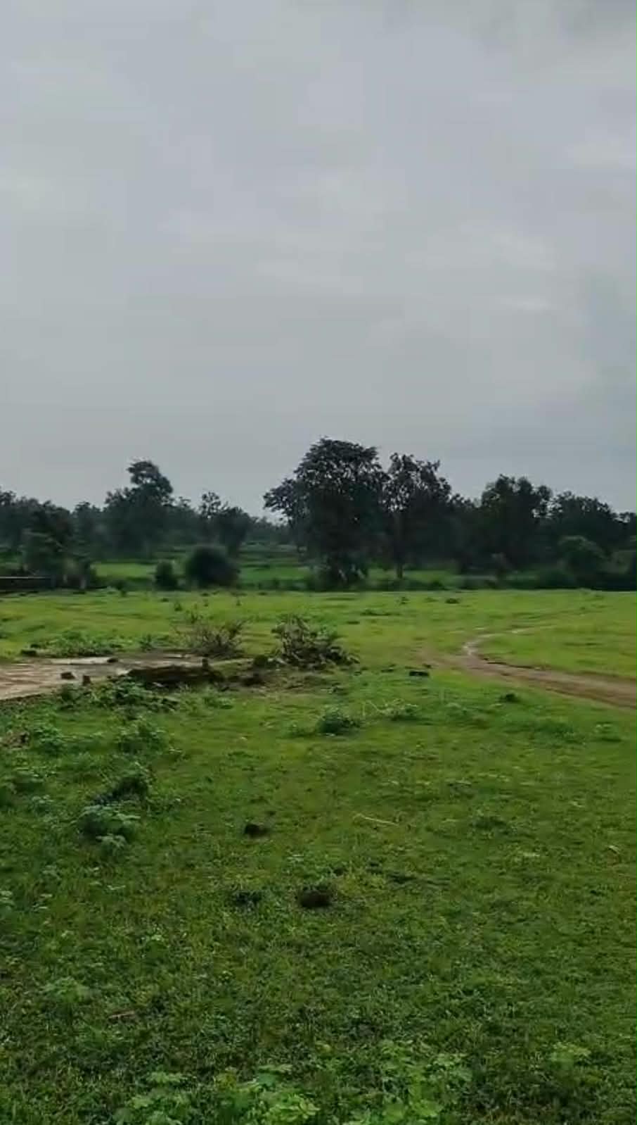 Agriculture Land for sale in Lalbarra Balaghat Balaghat — photo 3