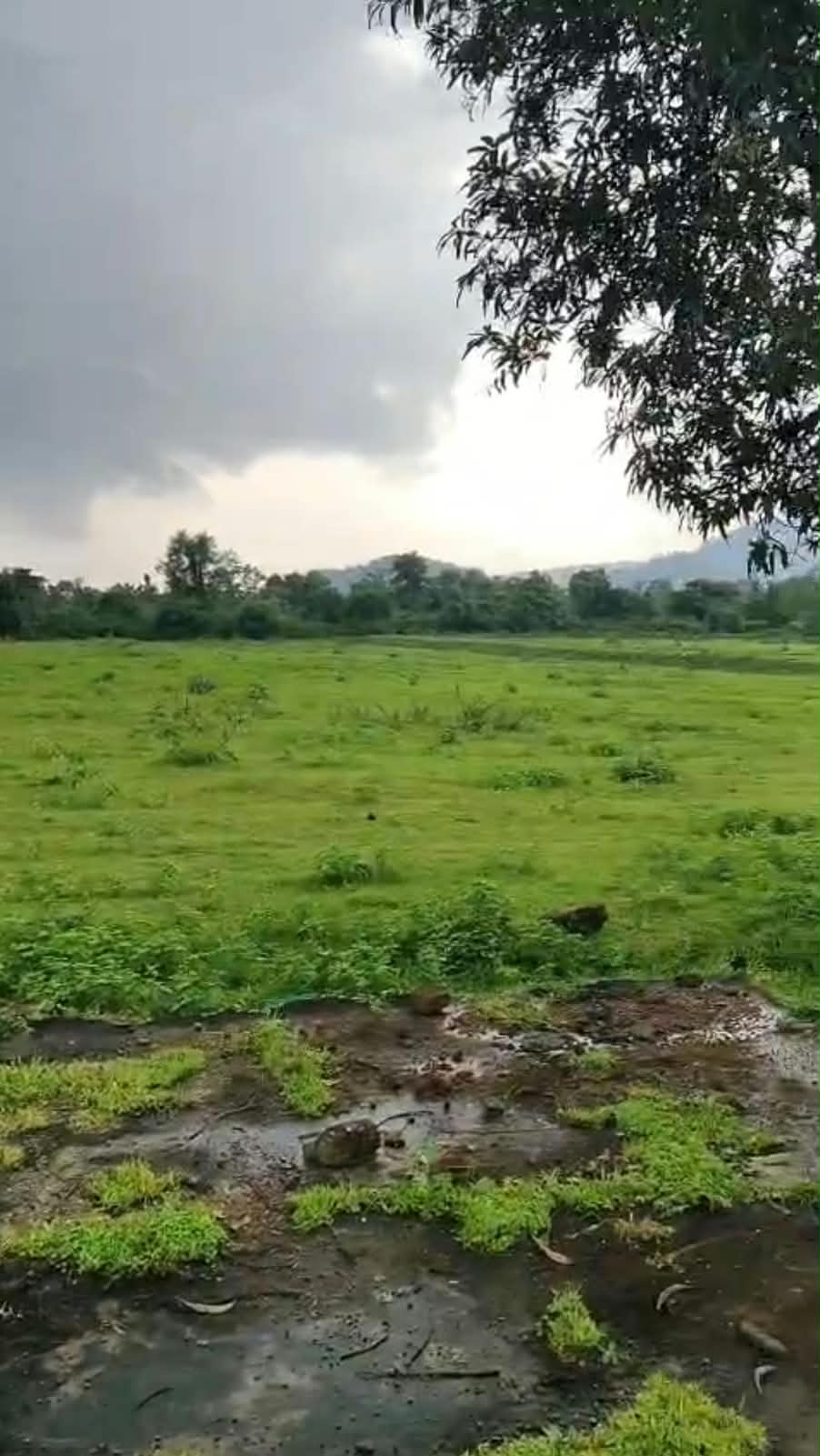 Agriculture Land for sale in Lalbarra Balaghat Balaghat — photo 2