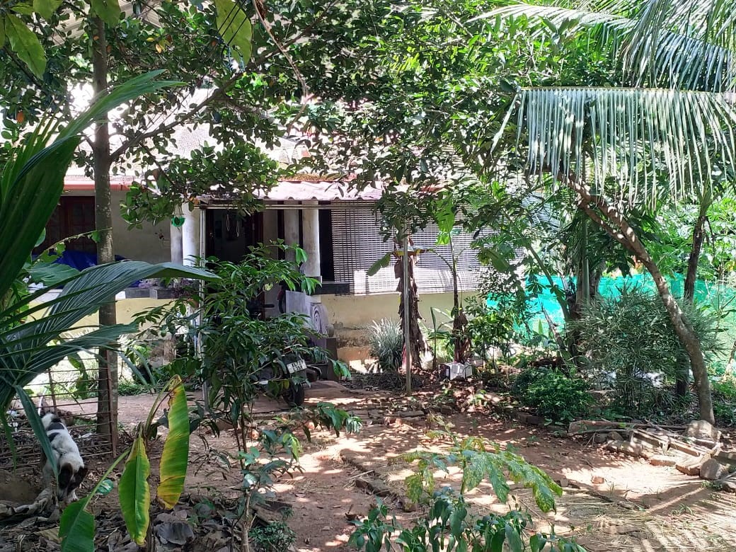 Individual House for sale in Thiruvalla — photo 7