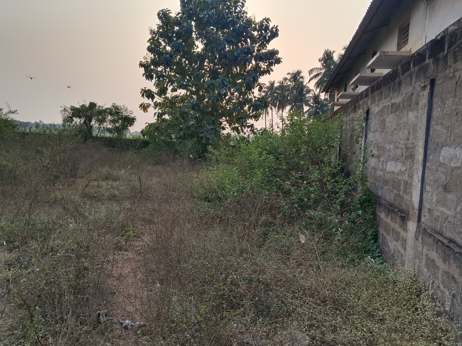 Industrial Shed for sale in ANAPARTHY VILLAGE Anaparthi — photo 1