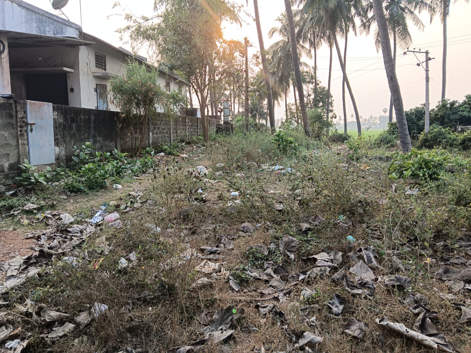 Industrial Shed for sale in ANAPARTHY VILLAGE Anaparthi — photo 3