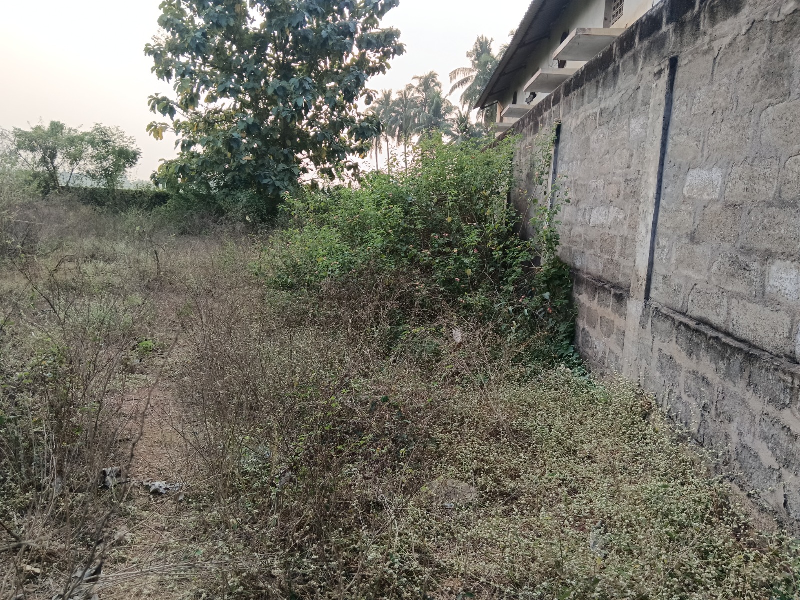Industrial Shed for sale in ANAPARTHY VILLAGE Anaparthi — photo 2