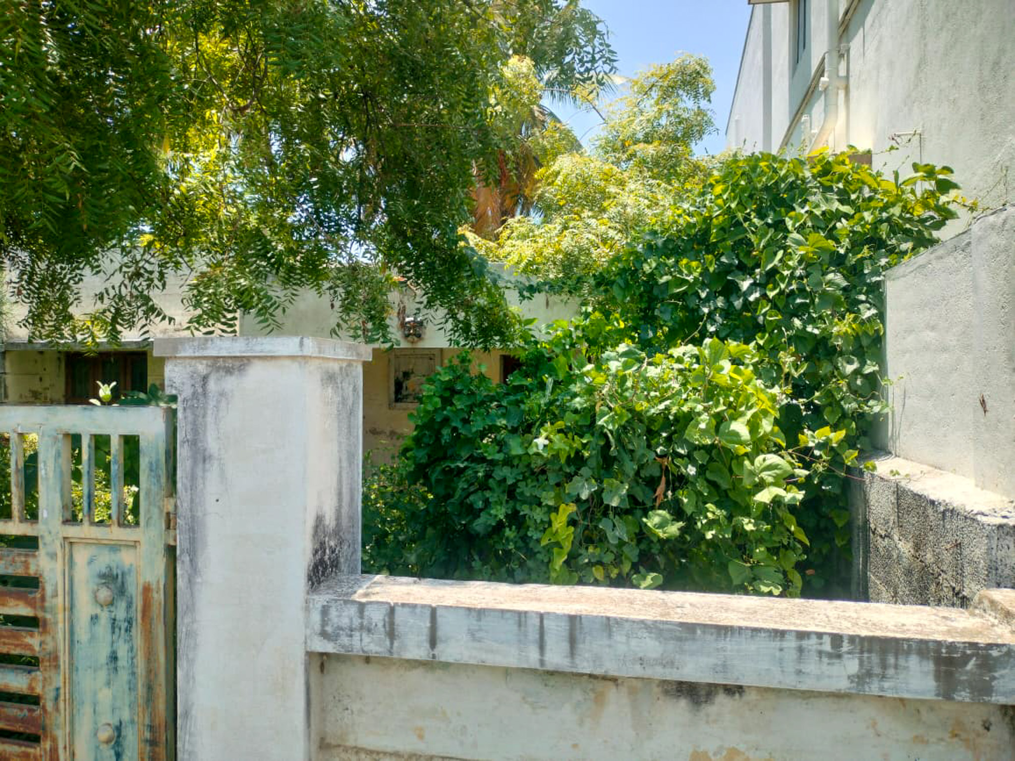 1 BHK Individual House for sale in INFO LINK SYSTEMS, SALEM Salem — photo 3