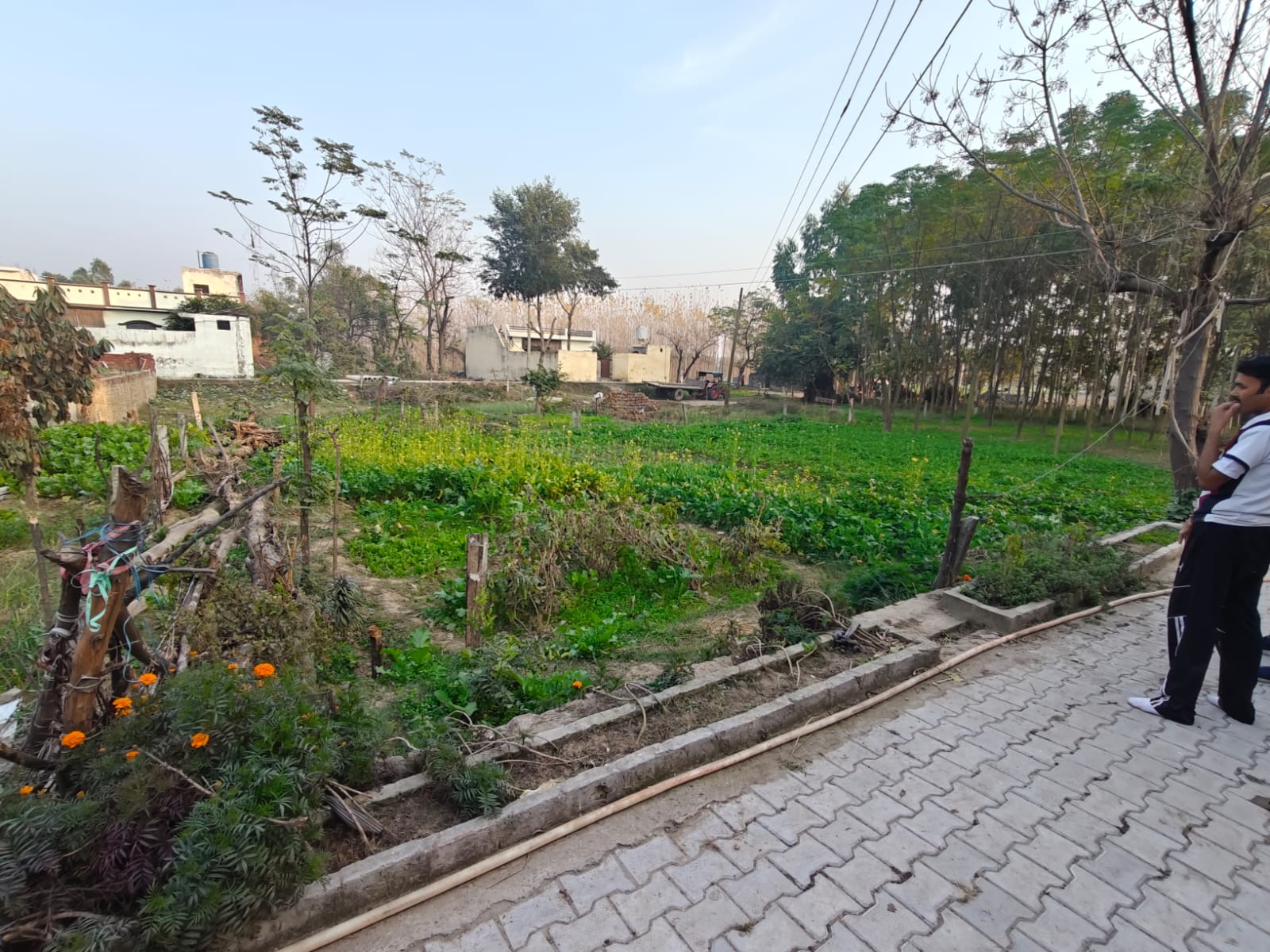 2070 square feet Plot for sale in VPO BODAL TEHSIL DASUYA DISTT. HOSHIARPUR. Dasuya