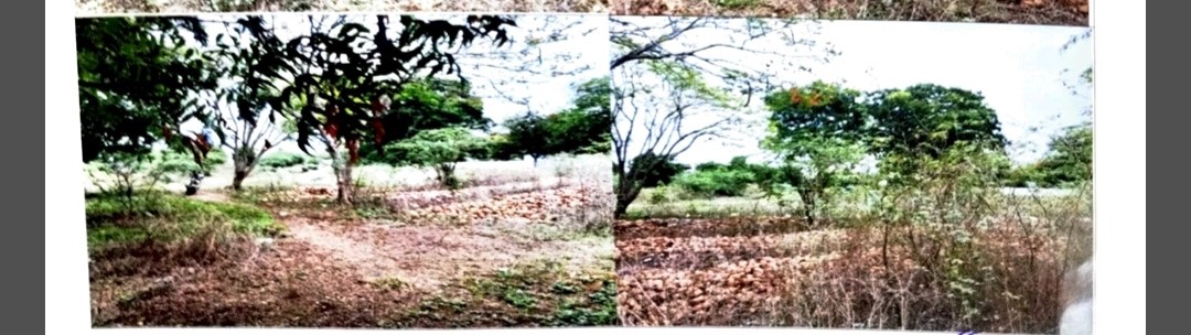 253.33 square yard Plot for sale in Tenali — photo 3