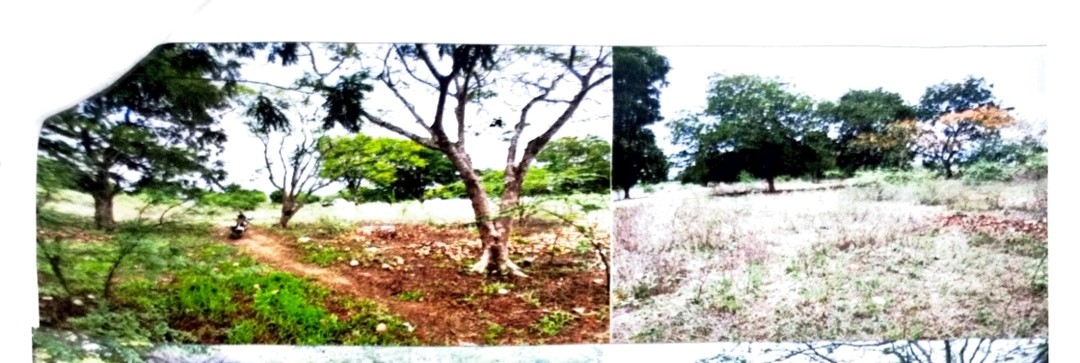 253.33 square yard Plot for sale in Tenali — photo 2