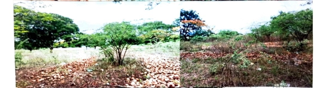 253.33 square yard Plot for sale in Tenali — photo 3