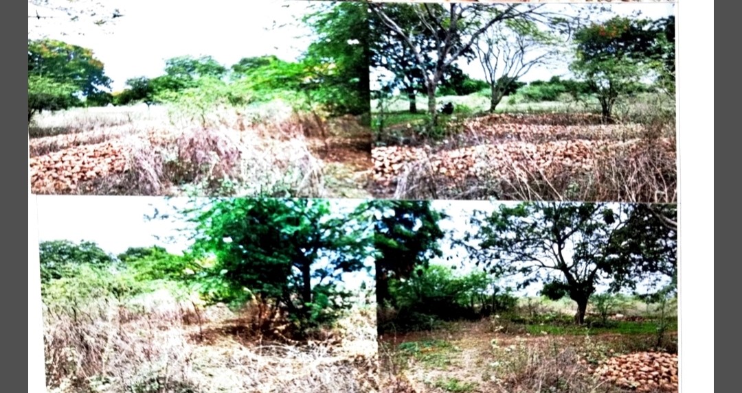 253.33 square yard Plot for sale in Tenali — photo 2