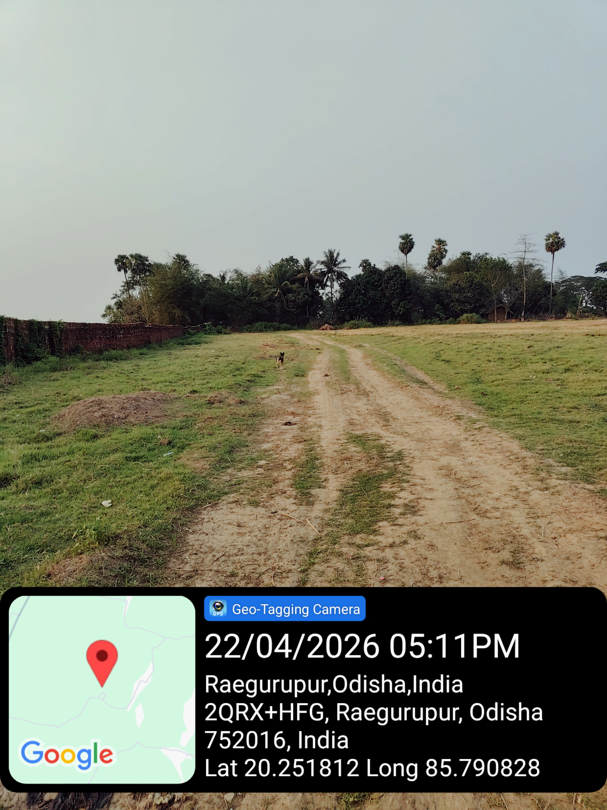 Plot for sale in Rural Pipili — photo 4