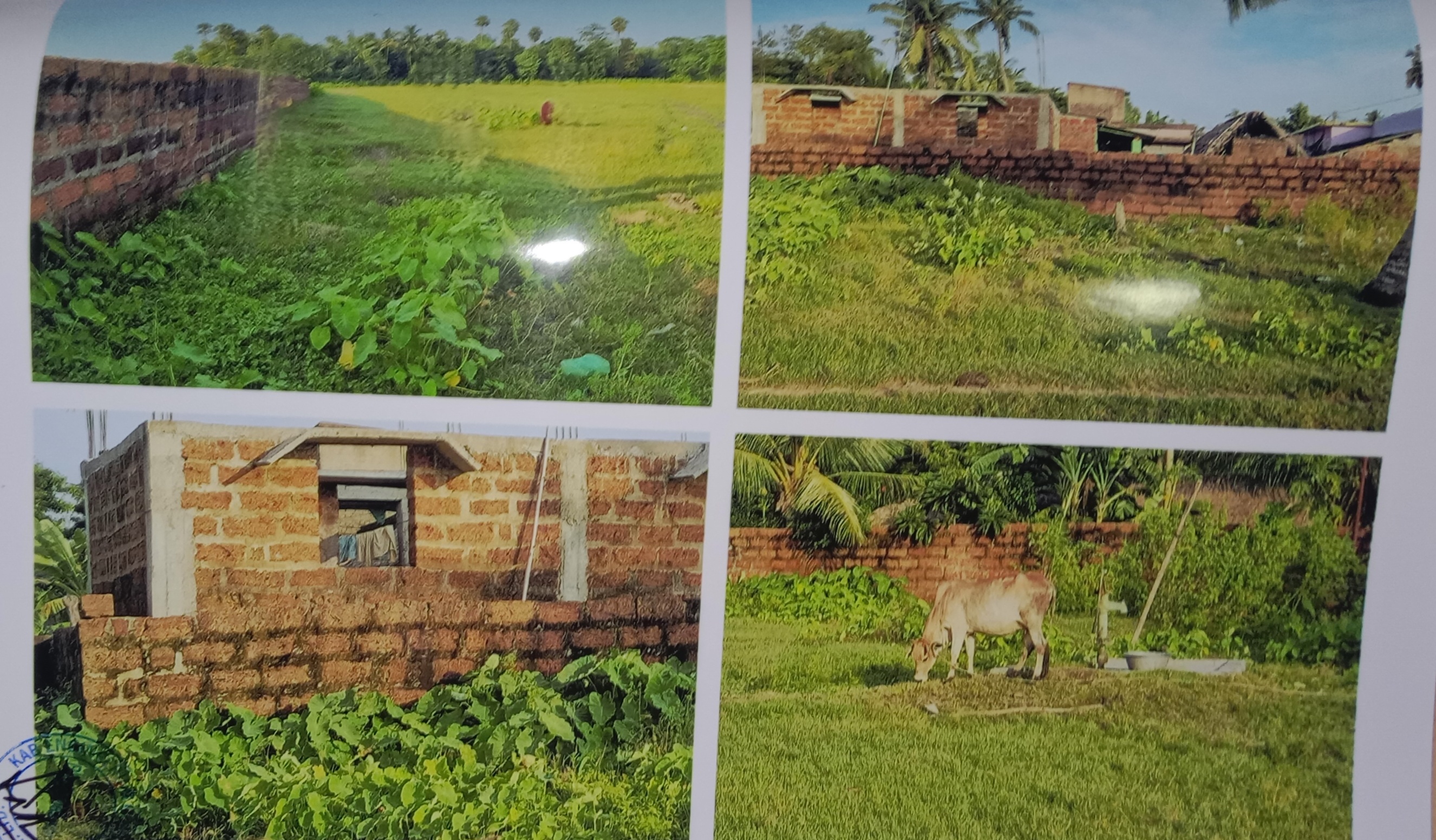 Plot for sale in Rural Pipili — photo 6
