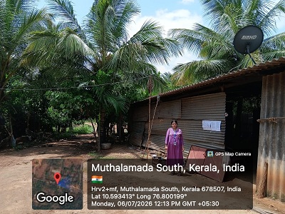 Individual House for sale in Palakkad