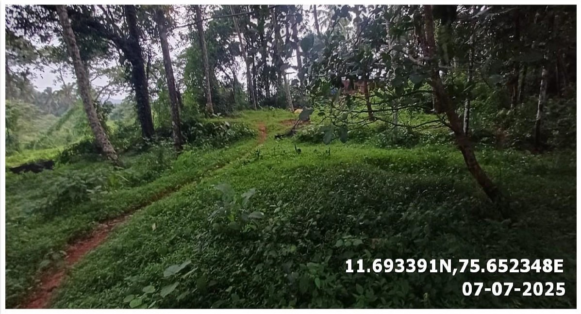 Land for sale in Chekkiad