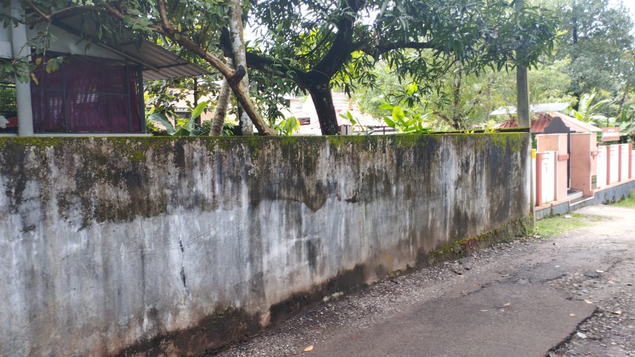 67.67 square meter Individual House for sale in Thazhuthala village, kollam taluk and district Mayyanad — photo 4
