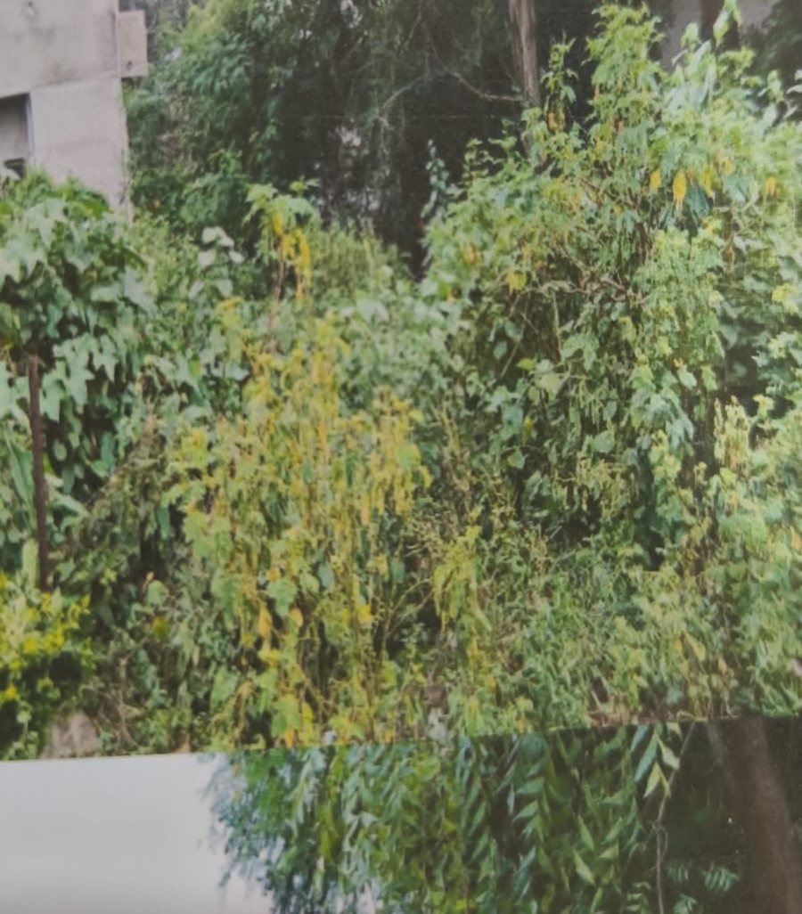 268 square meter Plot for sale in Dhule — photo 3
