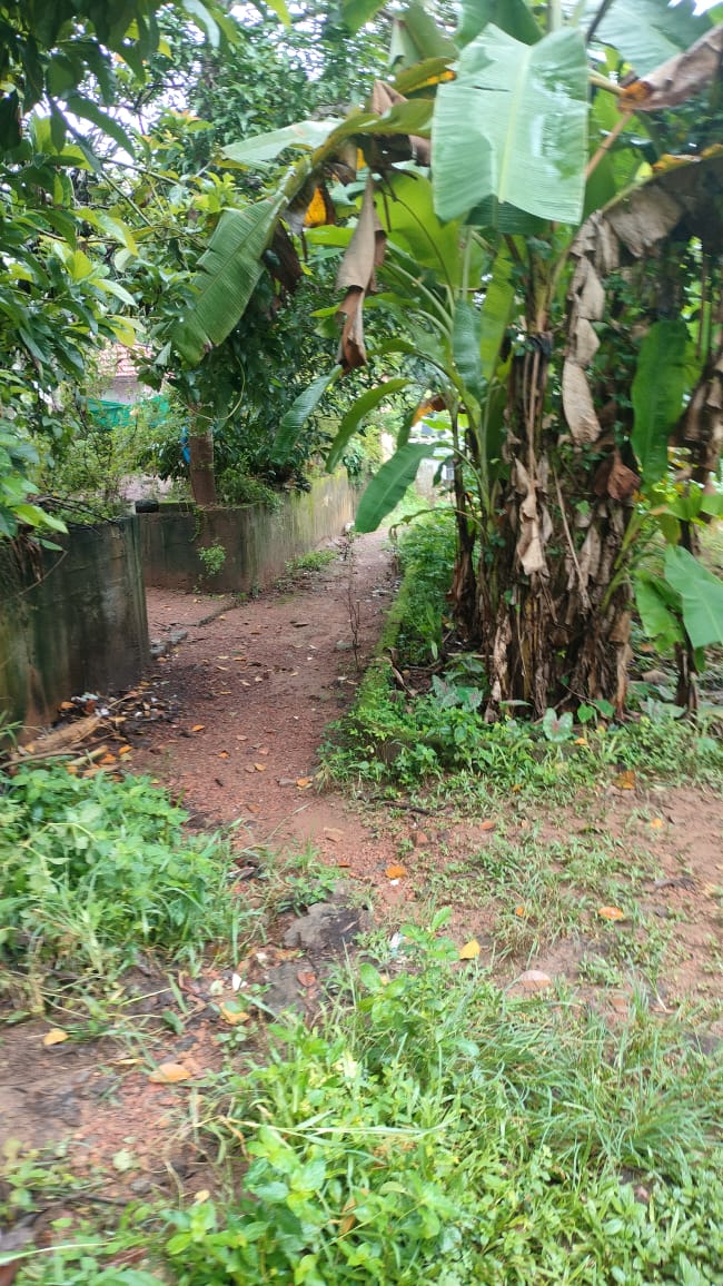 37.17 square meter Individual House for sale in 4km away from mannanam Town,1.1 km away from Thonnamkuzhy Junction Athirampuzha — photo 2