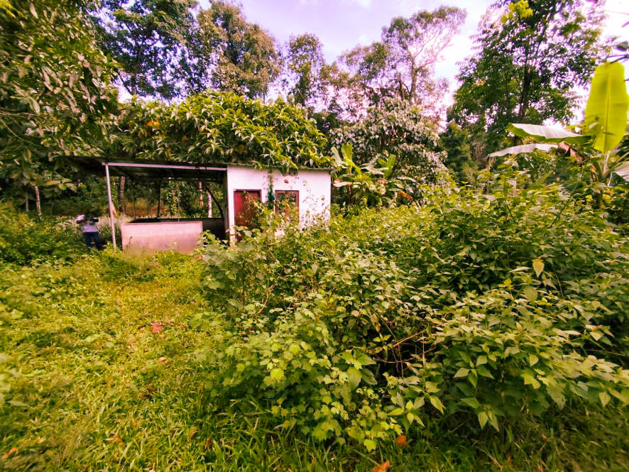 Individual House for sale in Athirampuzha — photo 7