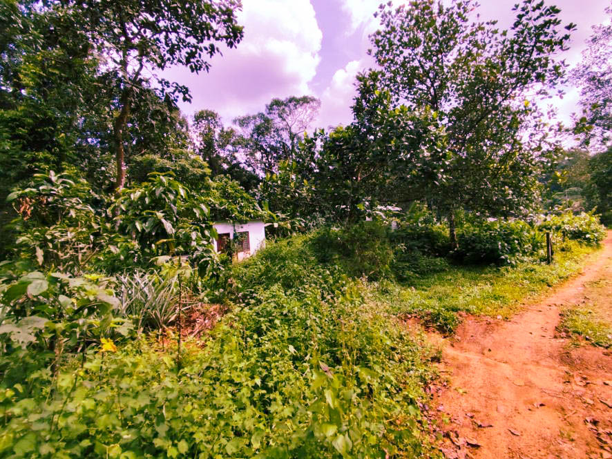 Individual House for sale in Athirampuzha — photo 6