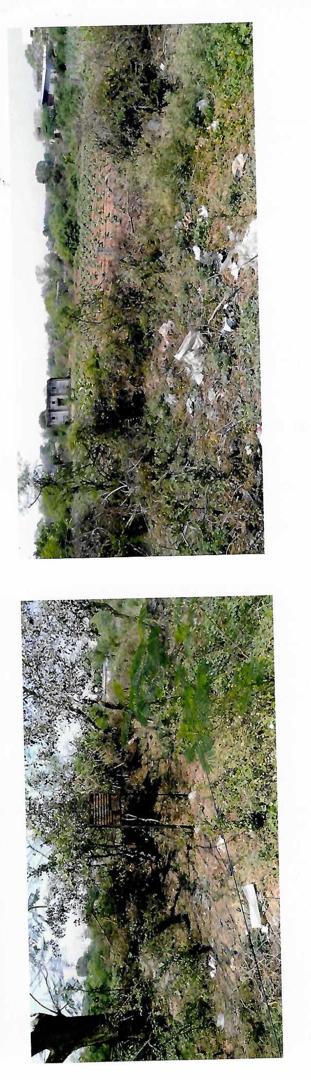 76207 square feet Plot for sale in Burhanpur — photo 3