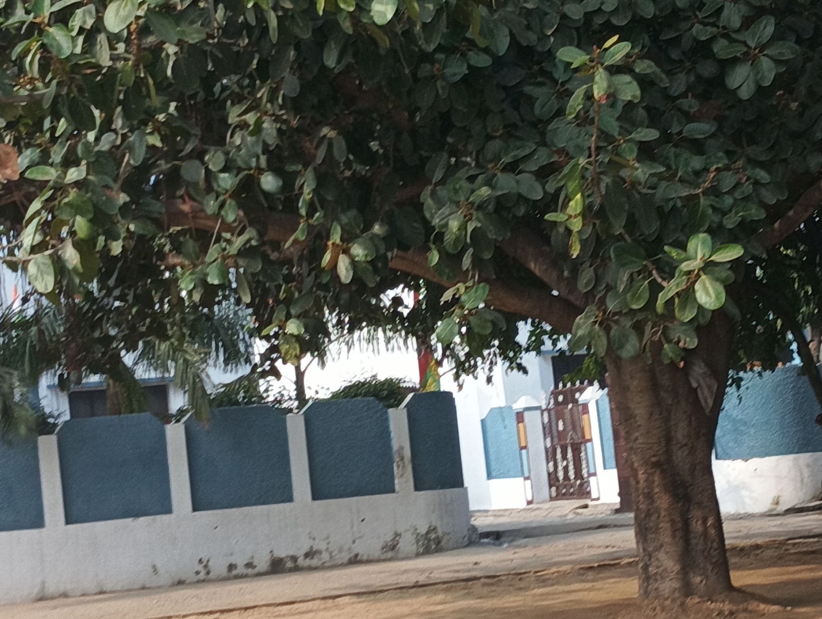422 square meter Individual House for sale in jaleshar etah Jalesar — photo 1