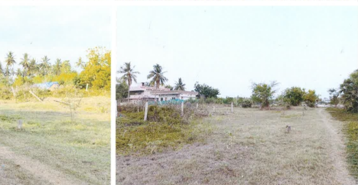 Plot for sale in Dumpagadapa Village & Panchayat, Akividu SRO Bhimavaram