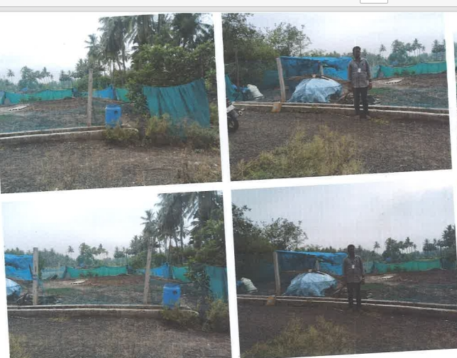Plot for sale in Akividu Bhimavaram