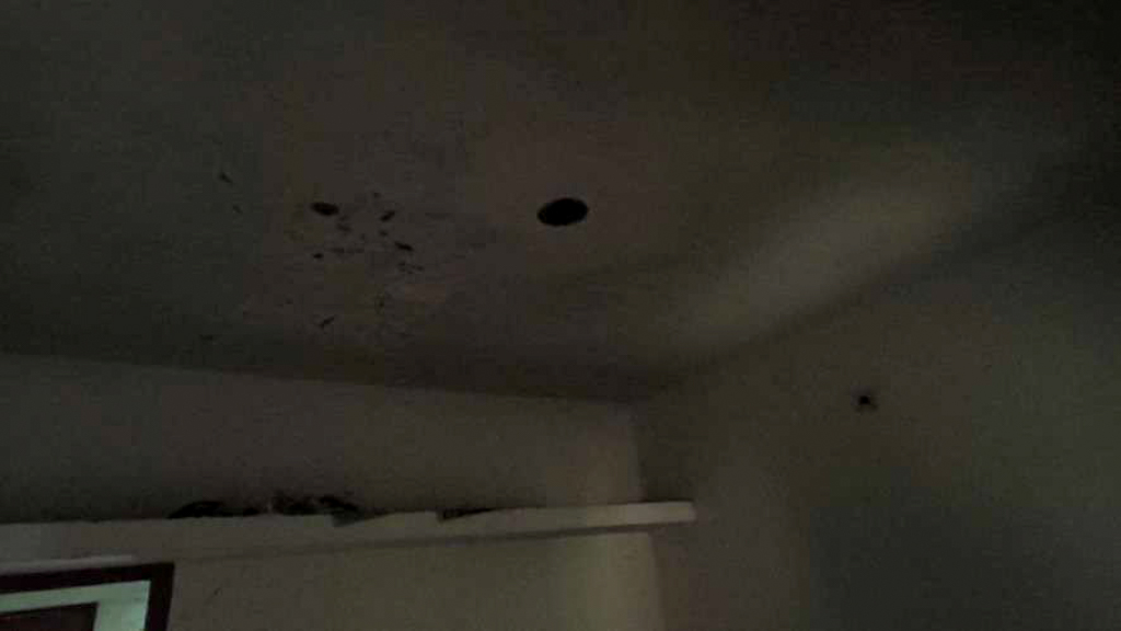 44.62 square meter Individual House for sale in Surat — photo 2