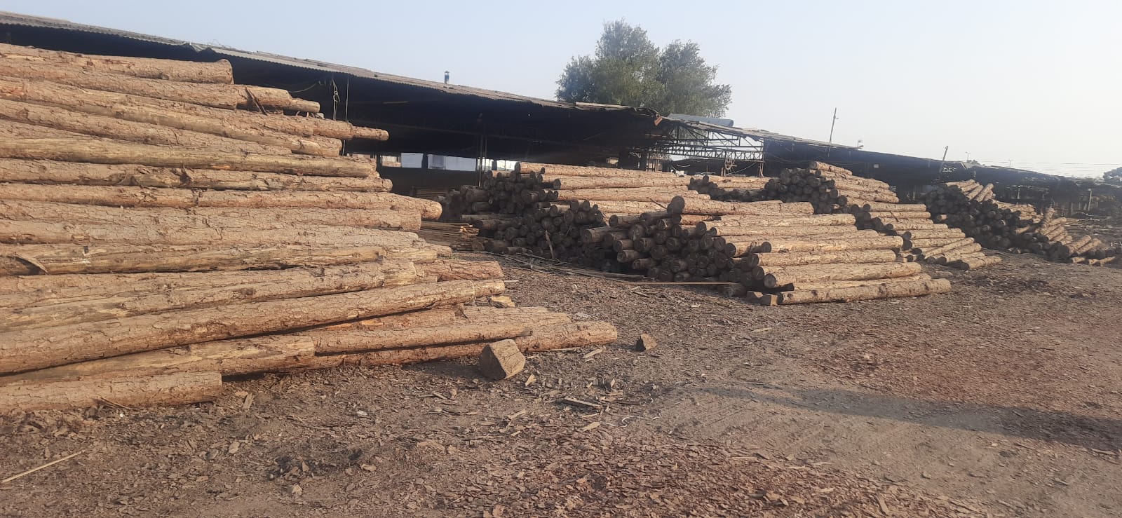 12439 square meter Industrial Plot for sale in ANJAR Anjar — photo 3