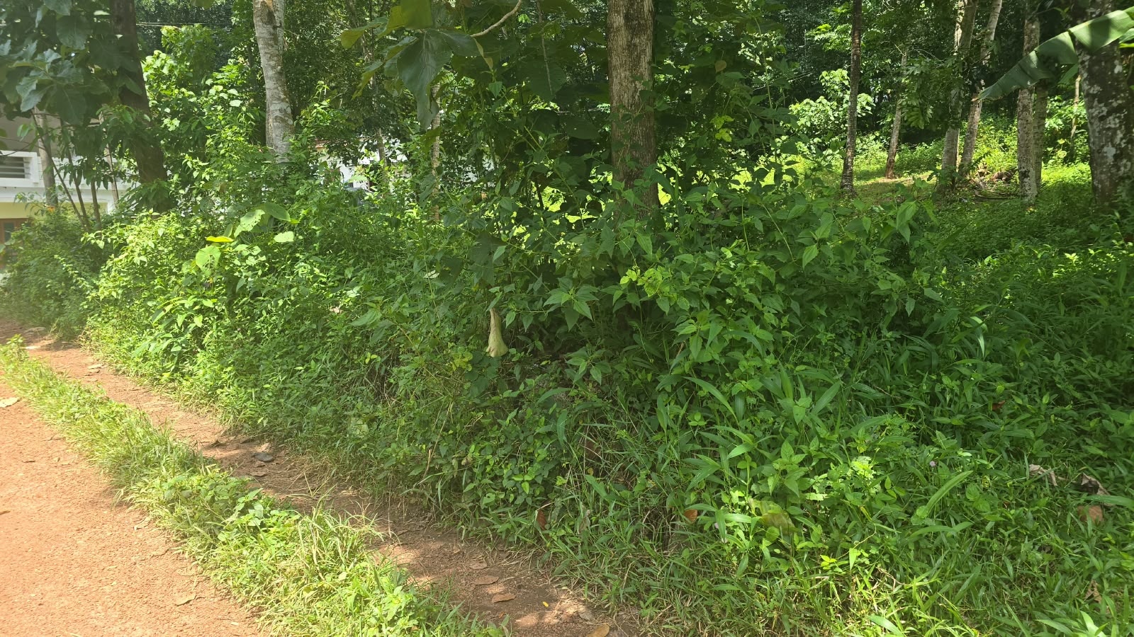 Plot for sale in Thiruvananthapuram
