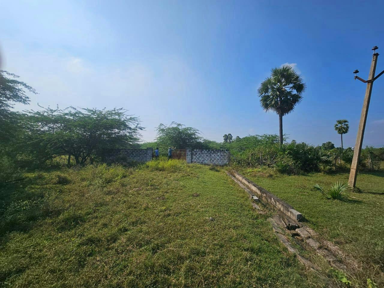 OPEN LAND for sale in Pothuru Guntur