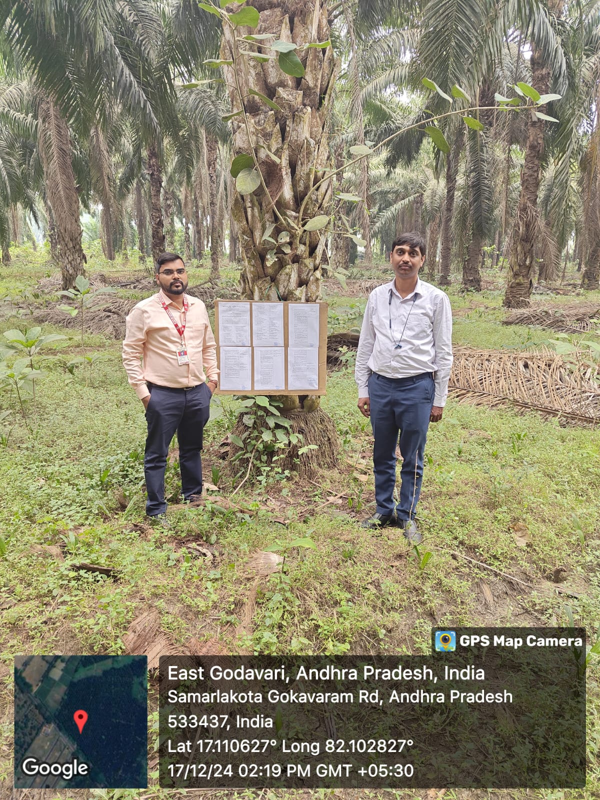 Plot for sale in Peddapuram