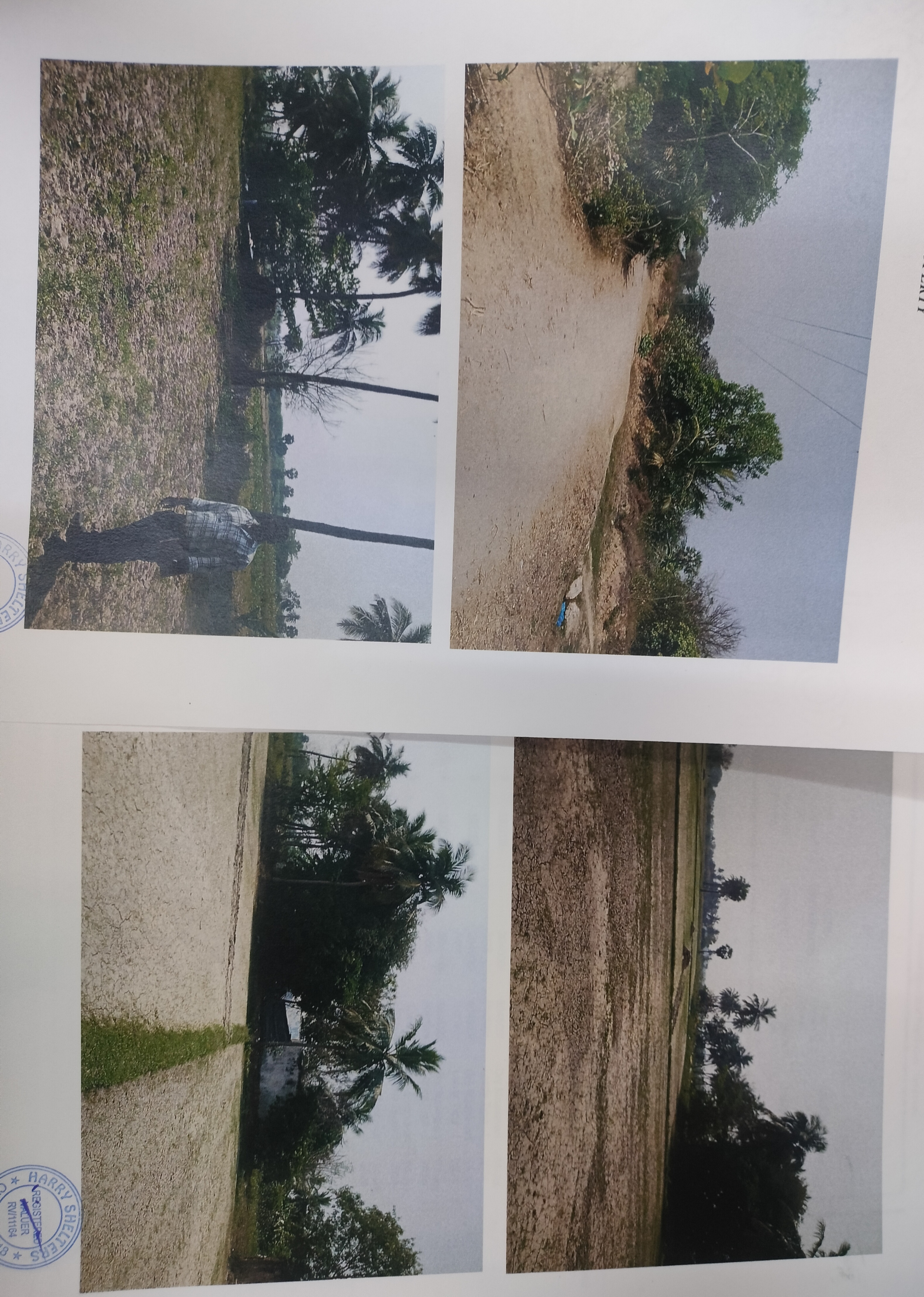 Plot for sale in Pachchal — photo 3