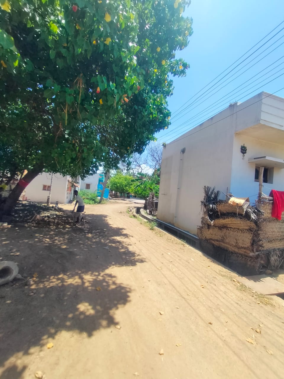 395.2 square feet Individual House for sale in Melur attapatti panchayat Melur — photo 3