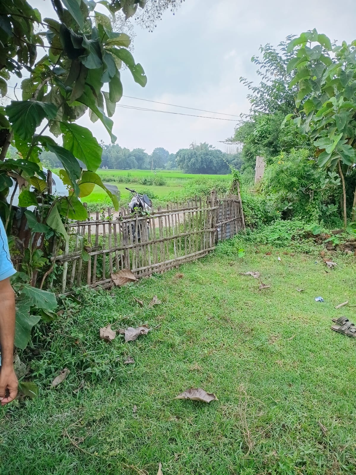 65242 square feet Plot for sale in Saharsa