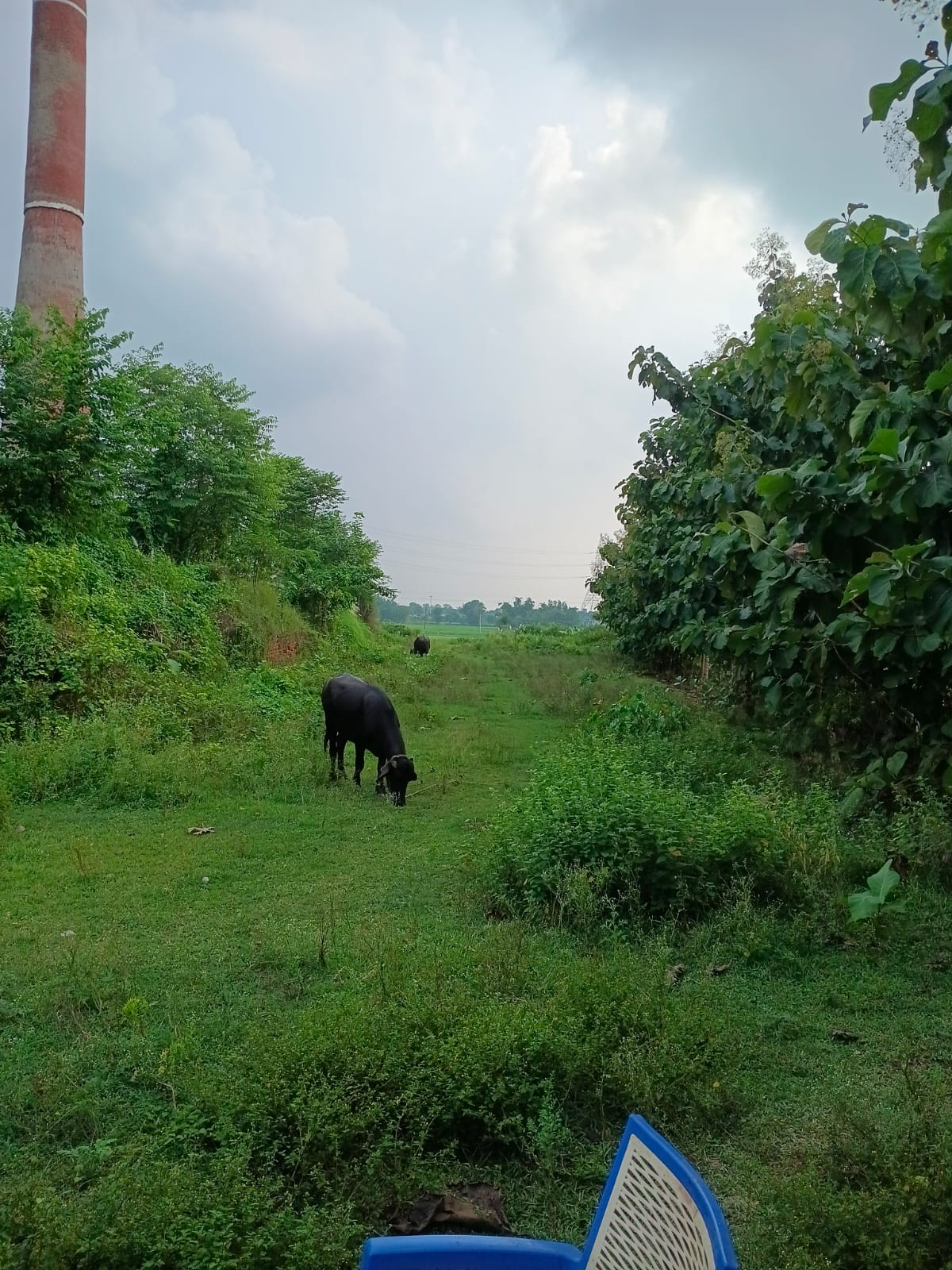 65242 square feet Plot for sale in Saharsa — photo 4