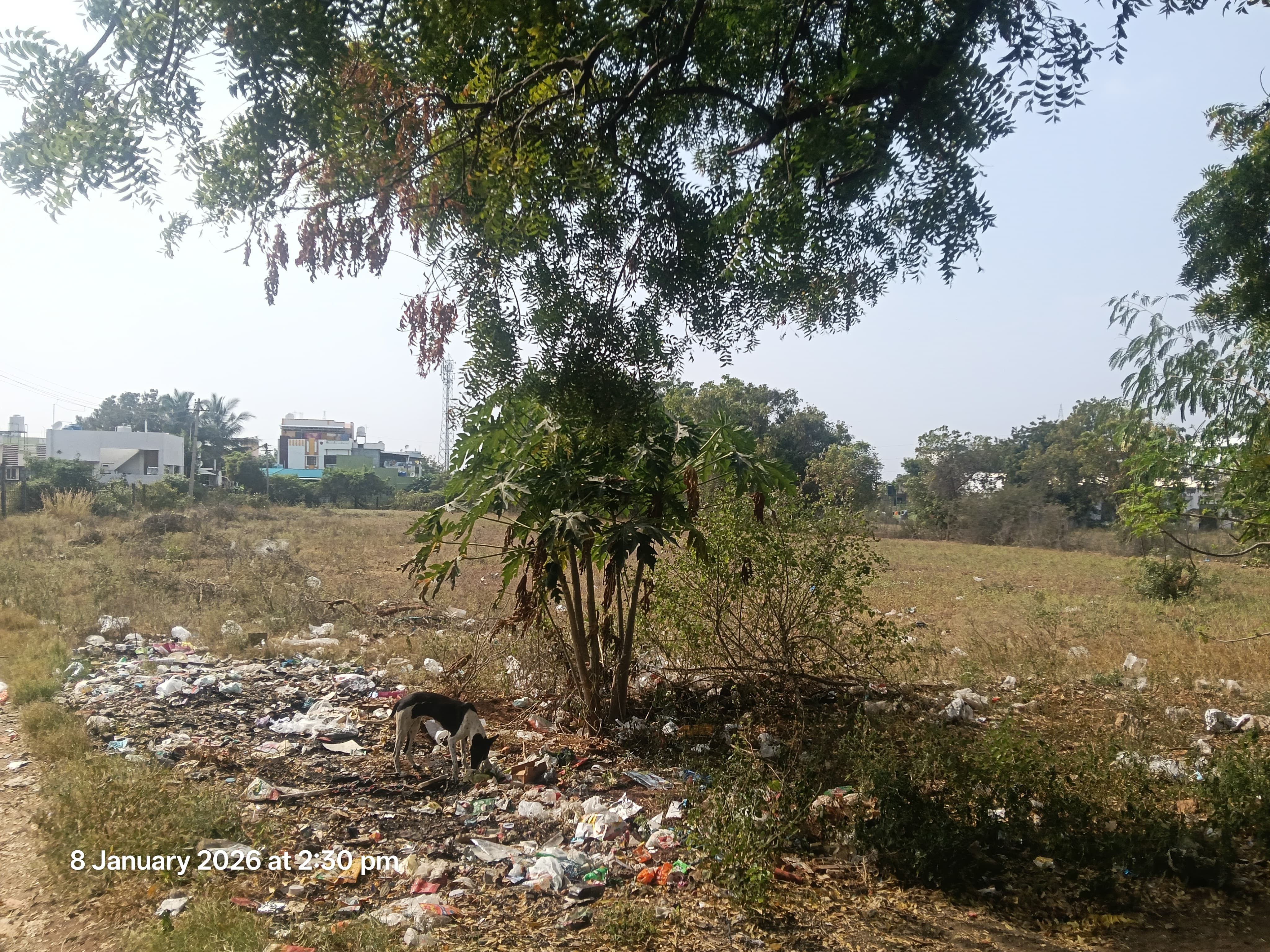 Individual House for sale in Tiruppur — photo 30