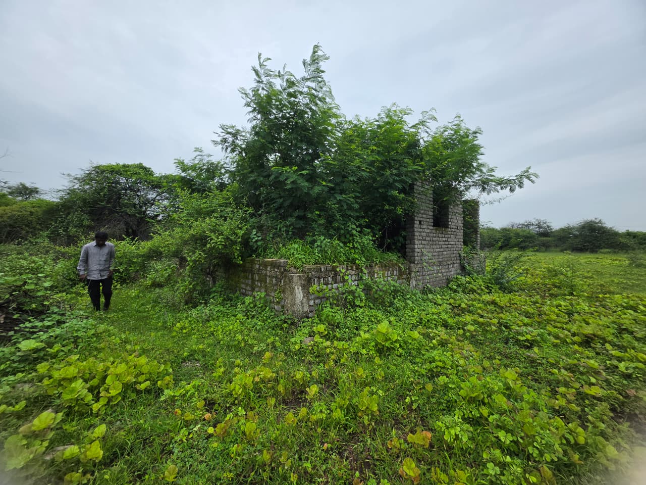 1672 square feet Plot for sale in CHANDRAPUR Chandrapur