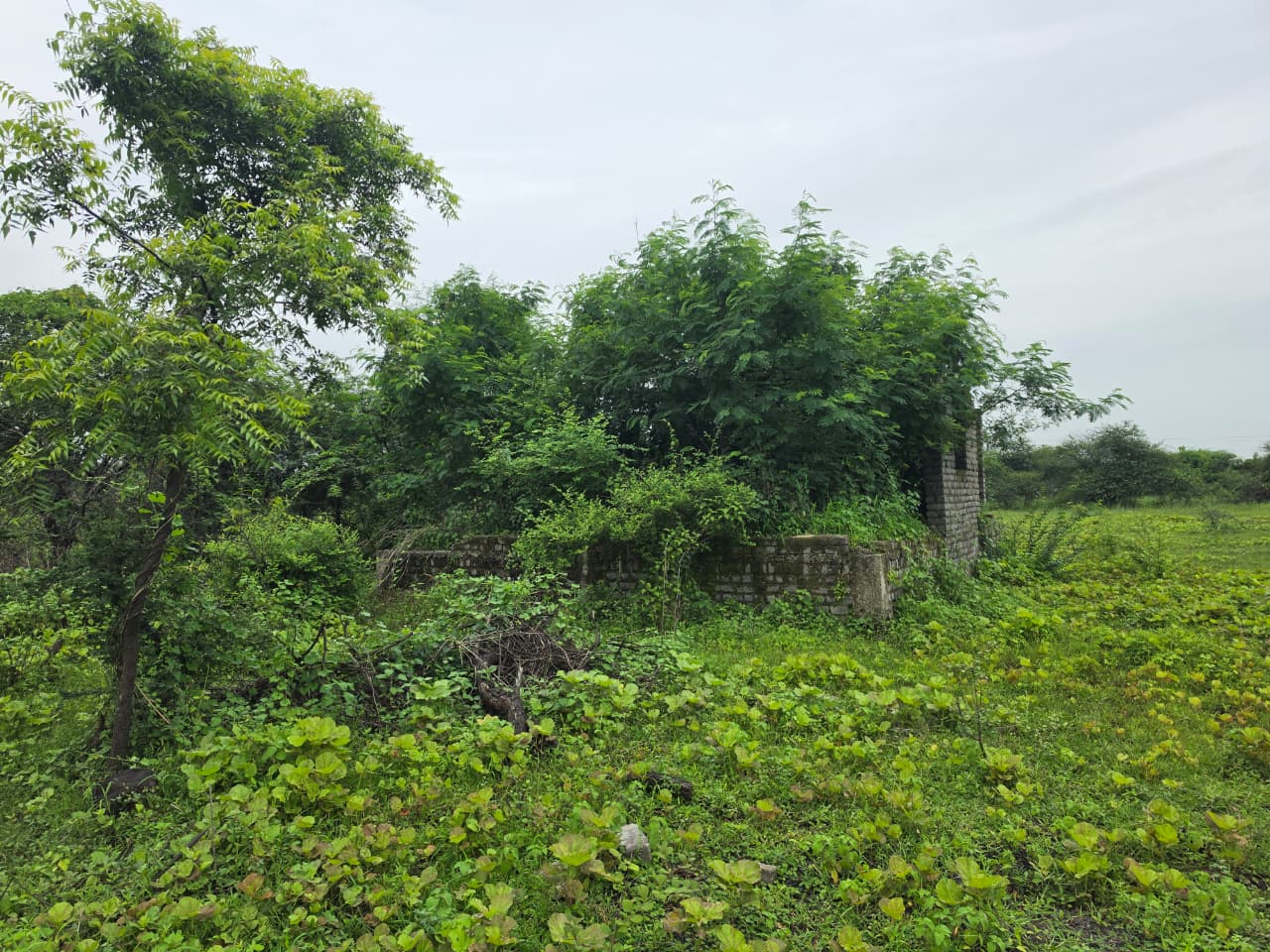 1672 square feet Plot for sale in CHANDRAPUR Chandrapur — photo 3