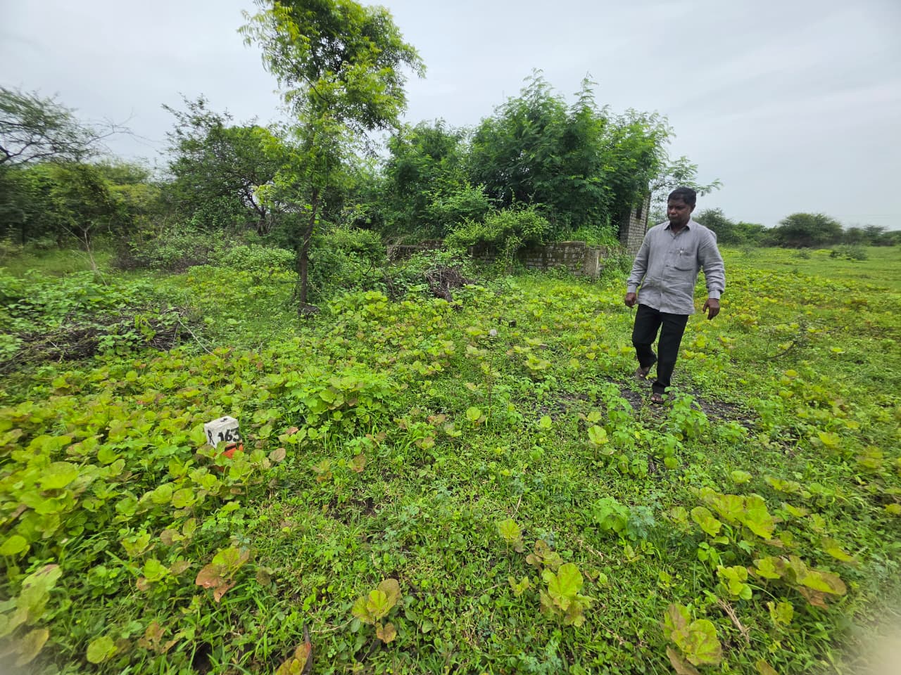 1672 square feet Plot for sale in CHANDRAPUR Chandrapur — photo 6